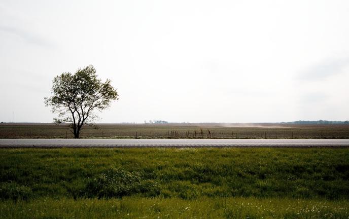Flat Indiana landscape with tree